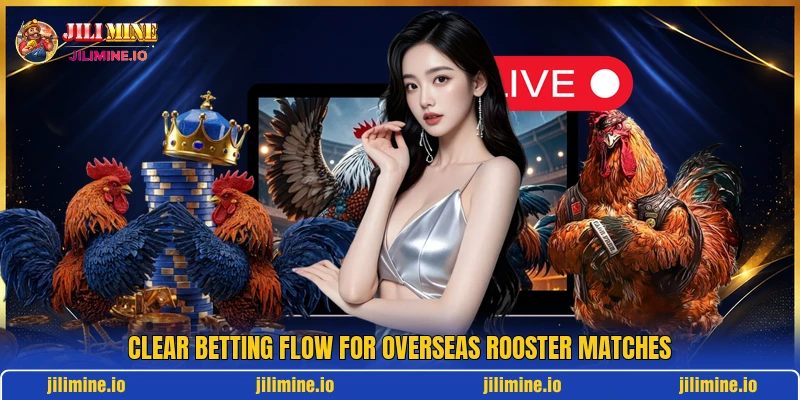 Clear betting flow for overseas rooster matches