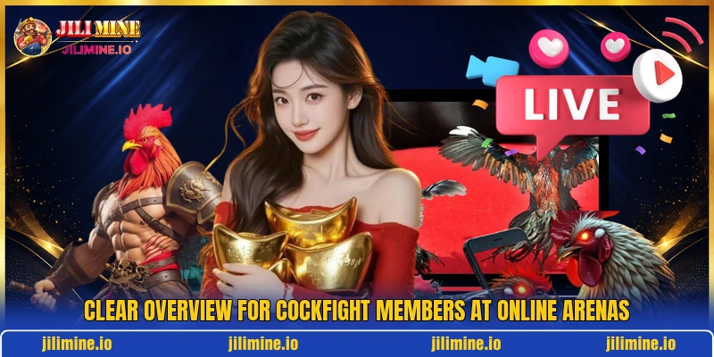 Clear overview for cockfight members at online arenas