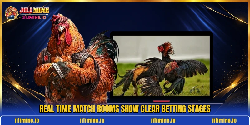 Real time match rooms show clear betting stages